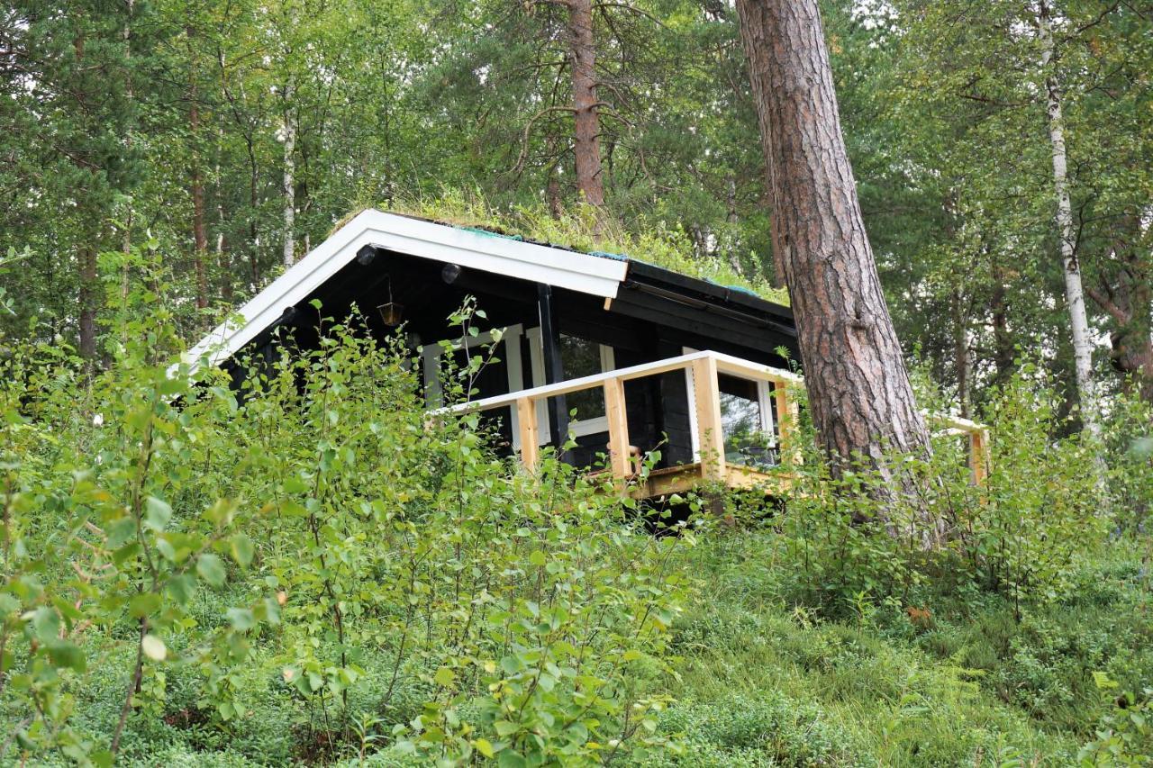 Bed and Breakfast Birk Bed & Birds Svanvik Exteriér fotografie